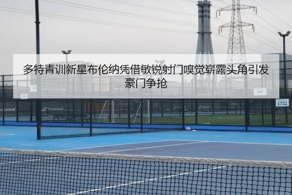 多特青训新星布伦纳凭借敏锐射门嗅觉崭露头角引发豪门争抢