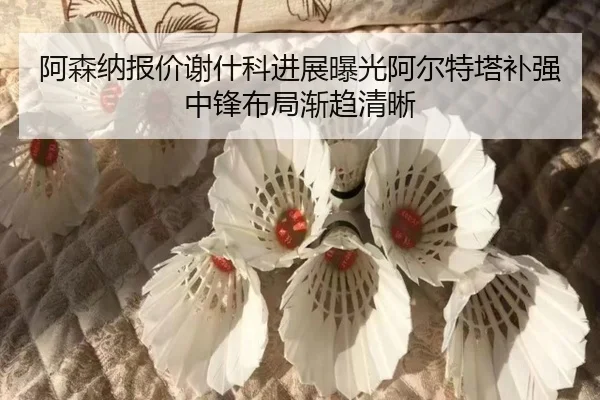 阿森纳报价谢什科进展曝光阿尔特塔补强中锋布局渐趋清晰